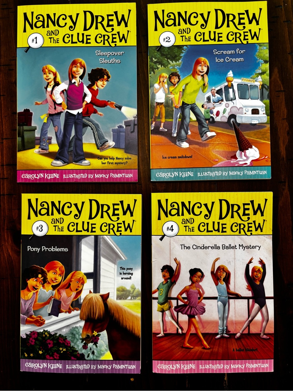 Nancy Drew and the Clue Crew series (4 in set)